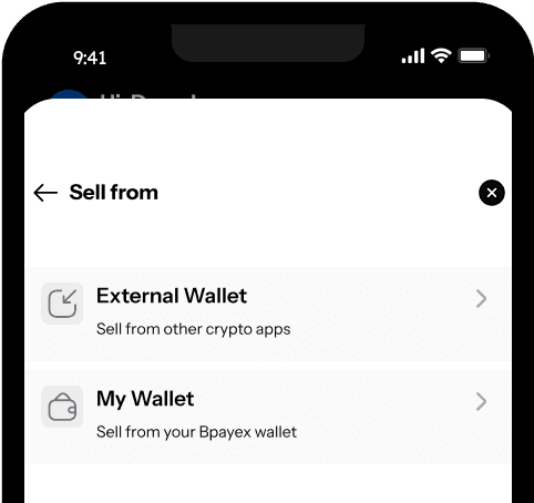 How to Sell on Bpayex